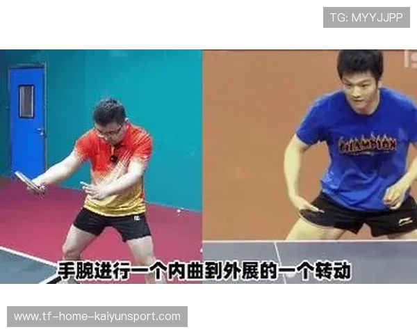 状态复苏！尹航盛赞樊振东反手球技艺，樊振东反手发力技巧