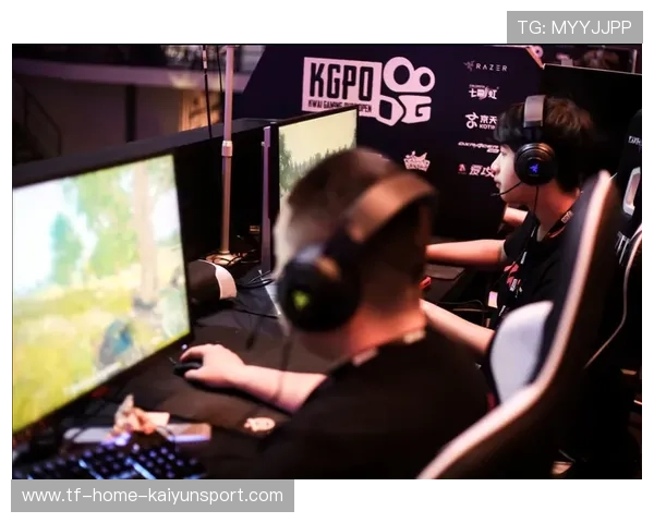 职业选手公开讨论版本问题